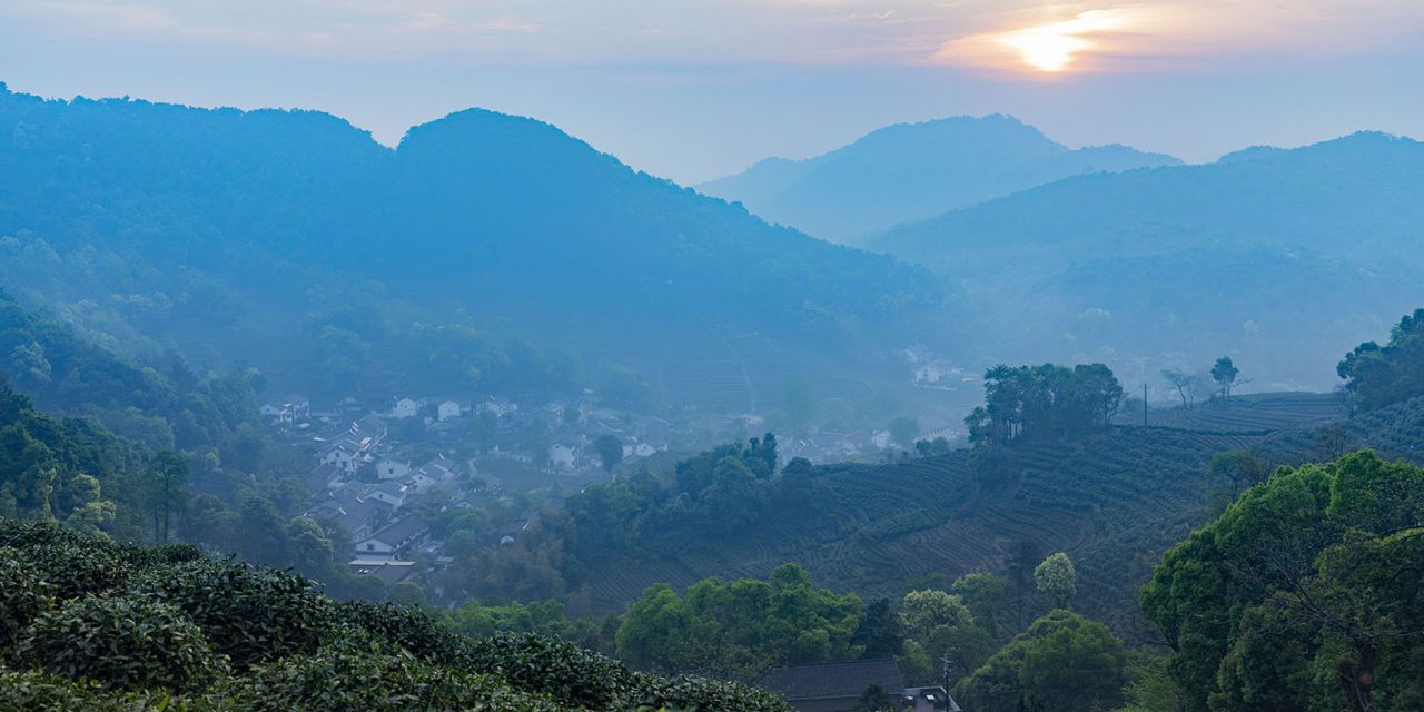 Longjing Village, the Holy Land of Green Tea