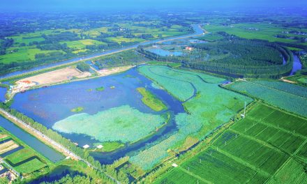 Chishan Lake National Wetland Park