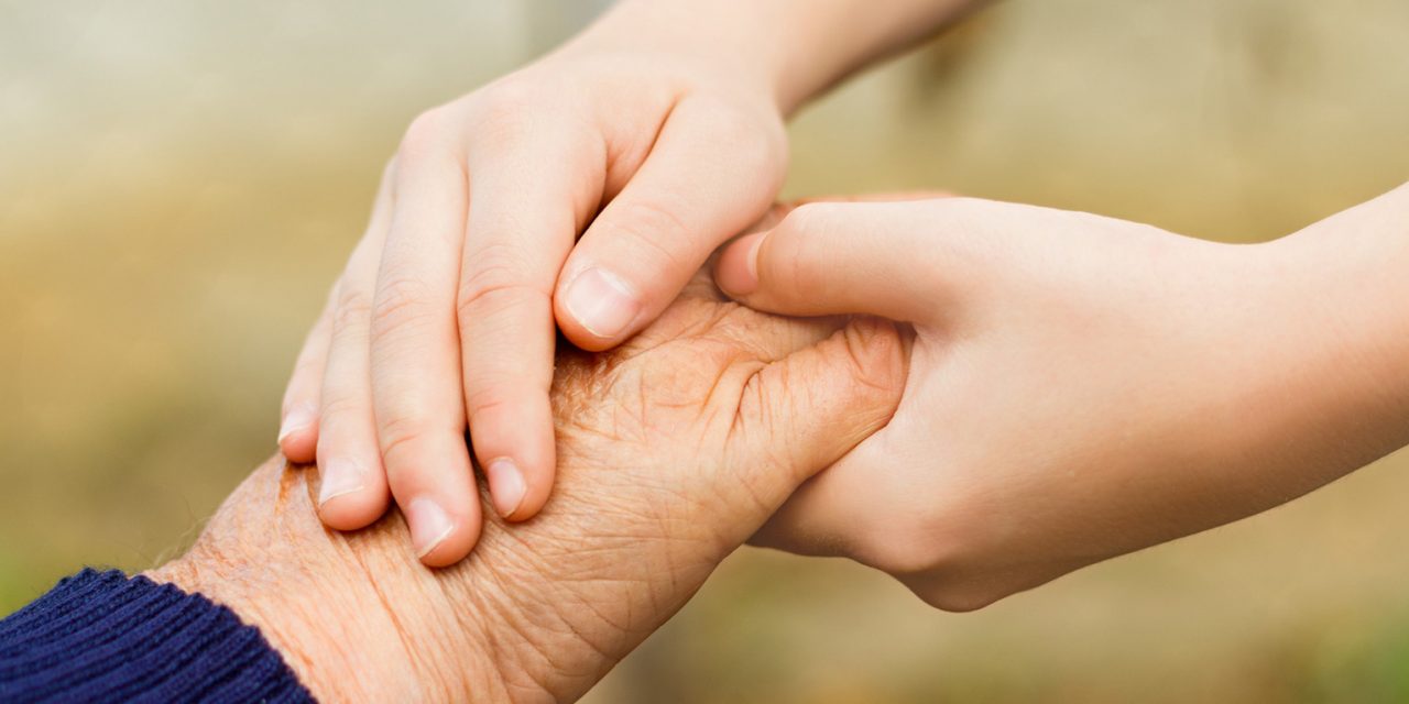 The List of Shanghai Charities