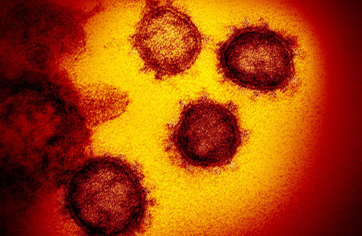 World Health Organization Bans April Fools Amid COVID-19 Crisis